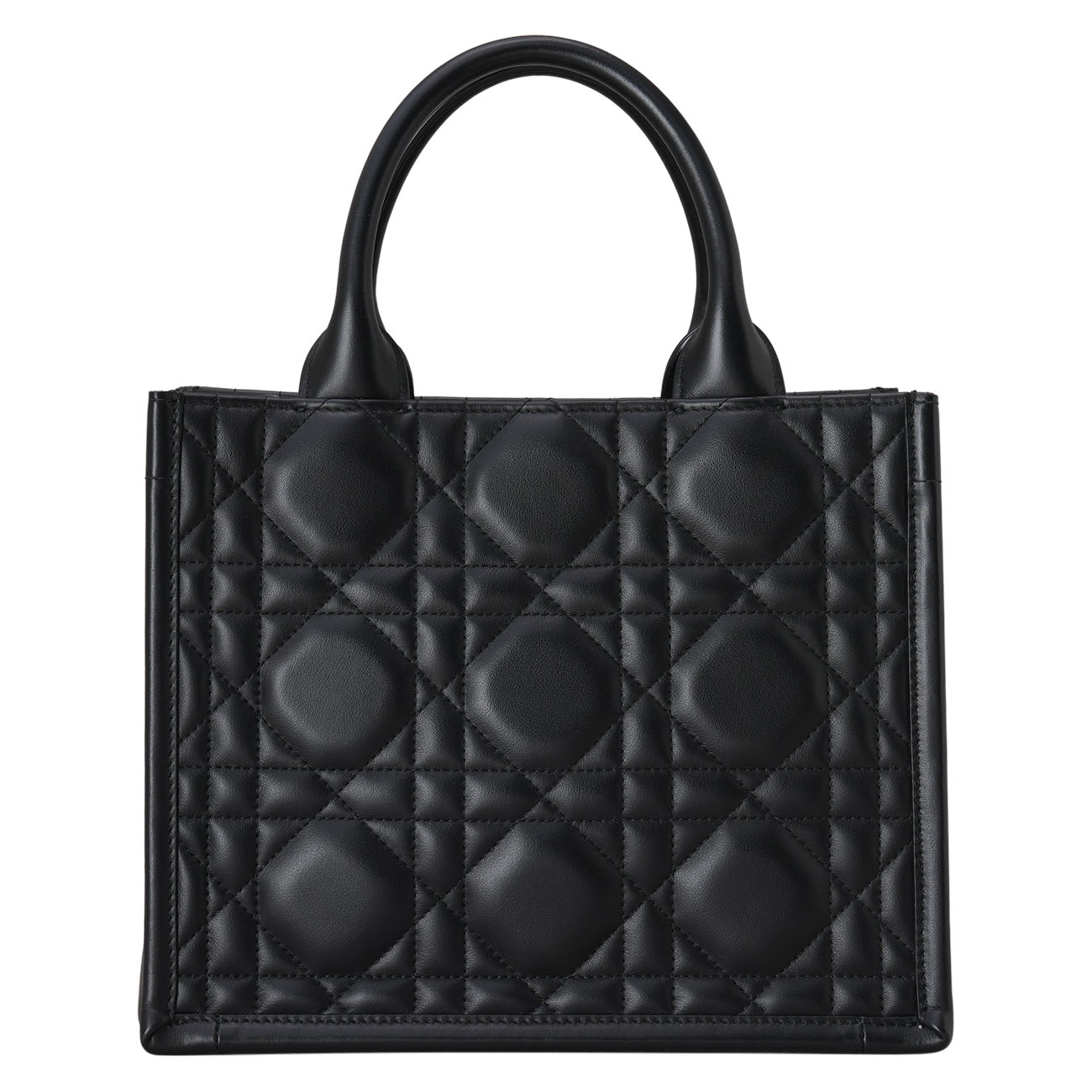 CHRISTIAN DIOR(USED)디올 레더 북토트 스몰